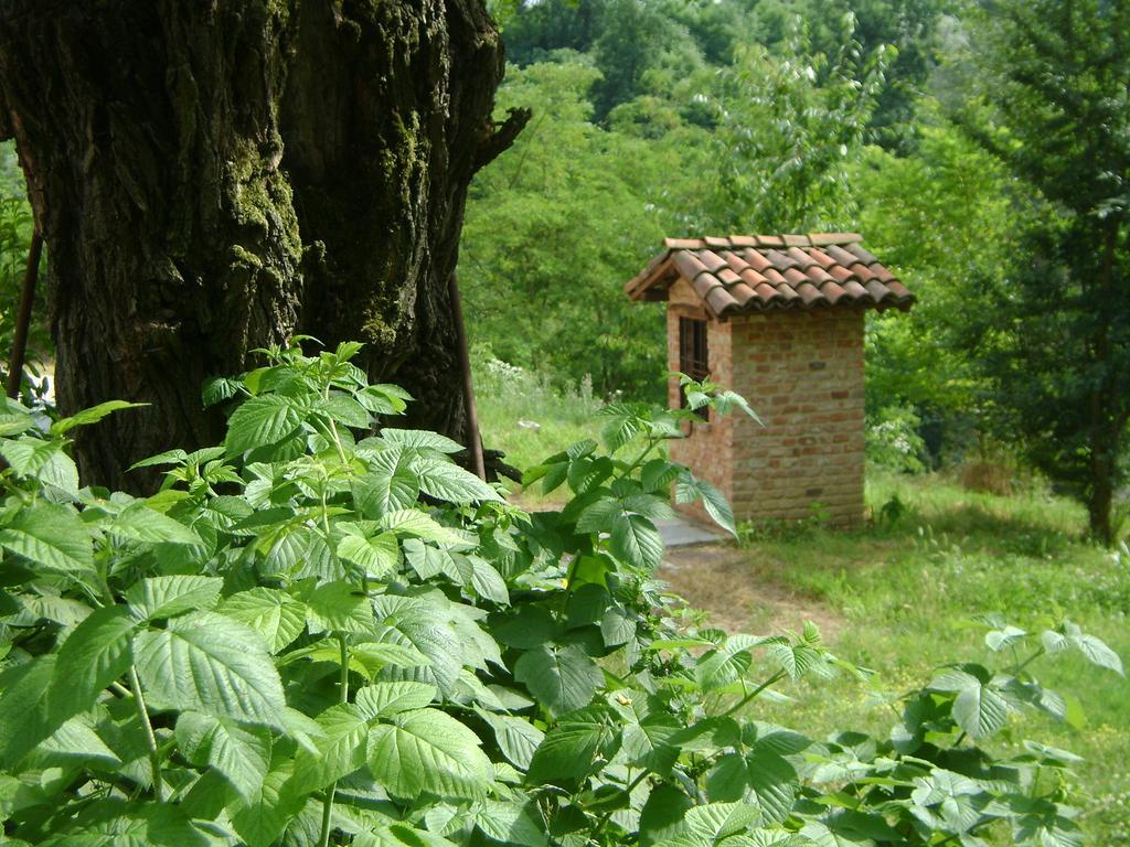 B&B Cascina Rossa อัสตี ภายนอก รูปภาพ