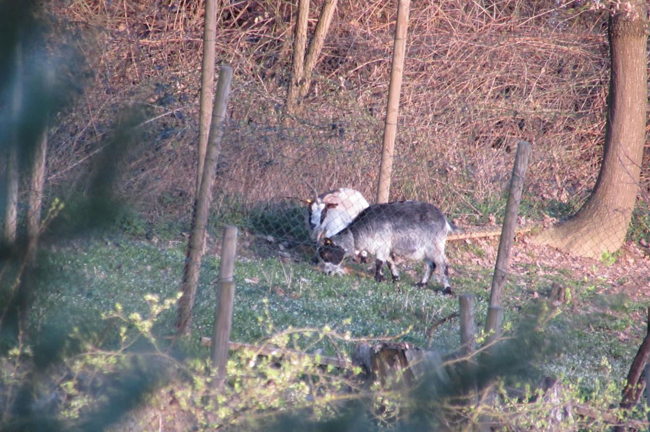 B&B Cascina Rossa อัสตี ภายนอก รูปภาพ